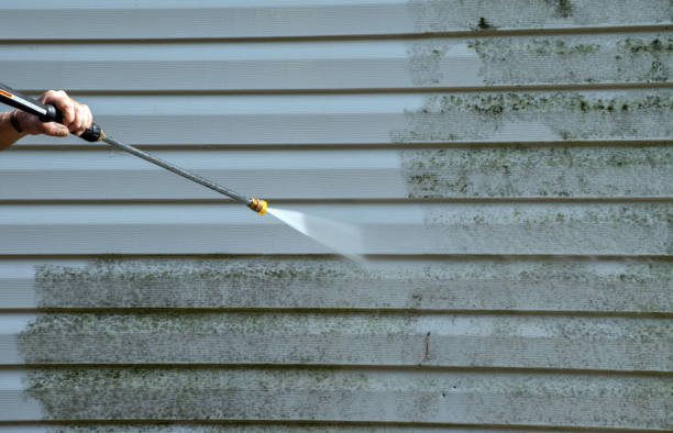 Best Roof Pressure Washing  in River Park, FL