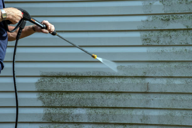 Best Roof Power Washing Services  in River Park, FL