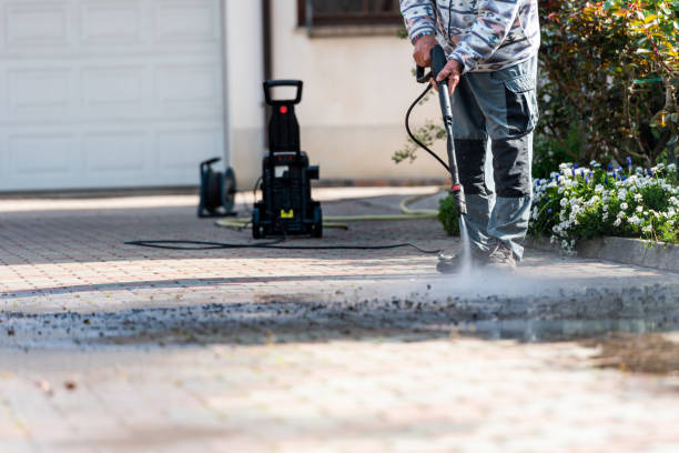 Best Exterior Home Cleaning  in River Park, FL