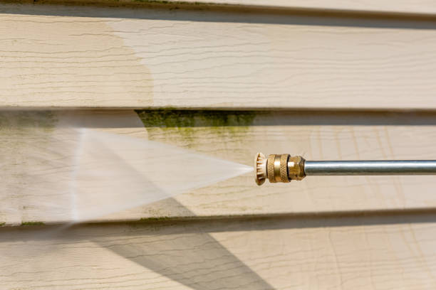 Best Pressure Washing Company Near Me  in River Park, FL