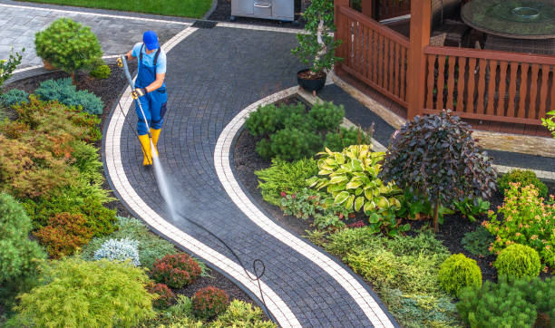 Best Roof Power Washing Services  in River Park, FL